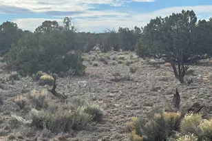 Lot 338 Sierra Highlands Ranch --, Saint Johns, AZ 85936 - Photo 1