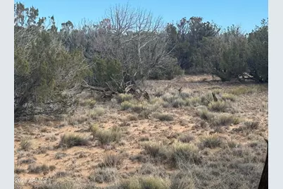 Lot 338 Sierra Highlands Ranch -- #338, Saint Johns, AZ 85936 - Photo 9