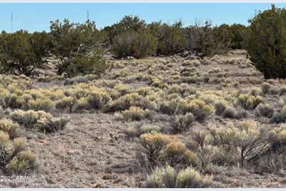 Lot 338 Sierra Highlands Ranch -- #338, Saint Johns, AZ 85936 - Photo 3