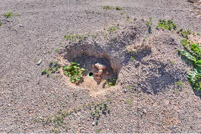 48217 W Quail Run Way #8, Maricopa, AZ 85139 - Photo 23