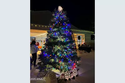 915 W Grand Caymen Drive, Gilbert, AZ 85233 - Photo 89