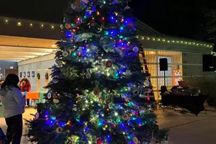 915 W Grand Caymen Dr, Gilbert, AZ 85233 - Photo 89