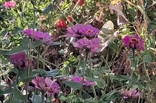 4020 E Creek View Dr, Camp Verde, AZ 86322 - Photo 7