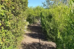 3300 Sparrows Crk Wy, Wickenburg, AZ 85390 - Photo 37