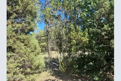 5020 Bison Trail #34 & 35, Lakeside, AZ 85929 - Photo 3