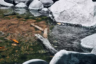 136 E Desert Wind Dr, Phoenix, AZ 85048 - Photo 63