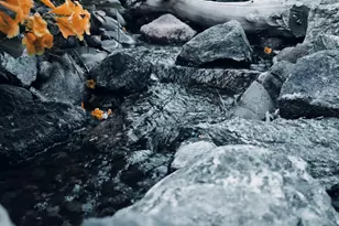 136 E Desert Wind Dr, Phoenix, AZ 85048 - Photo 61