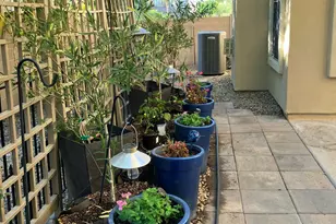 4385 N 157th Ln, Goodyear, AZ 85395 - Photo 21