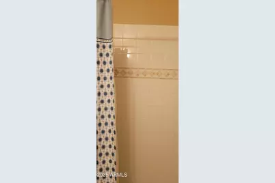 4385 N 157th Lane, Goodyear, AZ 85395 - Photo 47