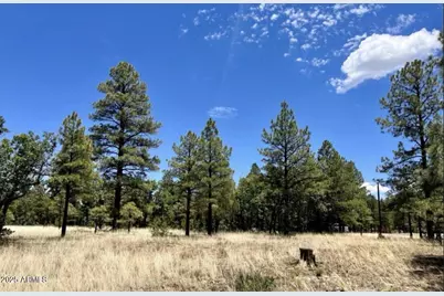 4453 Navajo Drive #358, Happy Jack, AZ 86024 - Photo 5