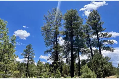 4453 Navajo Drive #358, Happy Jack, AZ 86024 - Photo 1