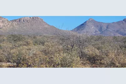 Xxxx E Cll Principal -- #258, Douglas, AZ 85607 - Photo 1