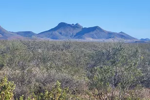 Xxxx E Cll Principal --, Douglas, AZ 85607 - Photo 5