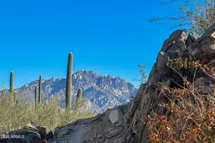 1313 W Tortolita Mountain Circle, Oro Valley, AZ 85755 - Photo 35