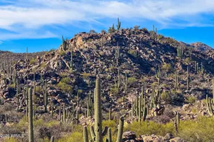 1313 W Tortolita Mountain Circle, Oro Valley, AZ 85755 - Photo 37