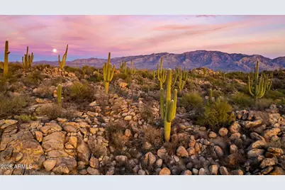 1313 W Tortolita Mountain Circle, Oro Valley, AZ 85755 - Photo 47