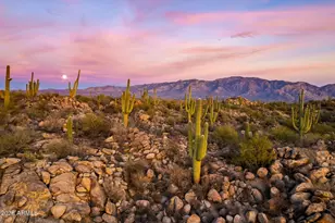 1313 W Tortolita Mountain Circle, Oro Valley, AZ 85755 - Photo 47