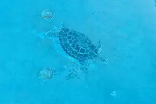 18789 W Jefferson St, Buckeye, AZ 85326 - Photo 1