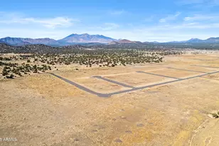 12920 Clearwater Trl, Flagstaff, AZ 86004 - Photo 9