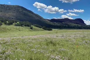 6601 Meadows Ln, Flagstaff, AZ 86004 - Photo 13