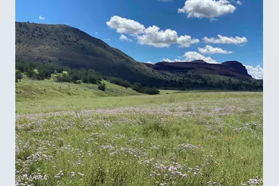 12907 Blazing Ore Trail, Flagstaff, AZ 86004 - Photo 13