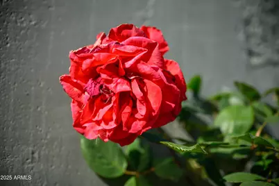 1450 E Rocky Knolls Road, Cottonwood, AZ 86326 - Photo 19