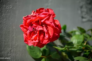 1450 E Rocky Knolls Rd, Cottonwood, AZ 86326 - Photo 19