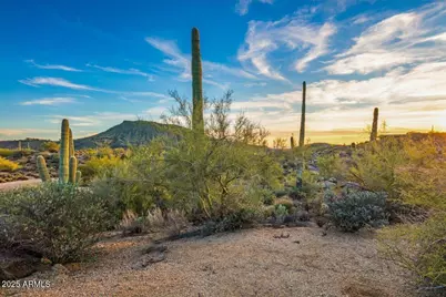 40806 N 94th Street #273, Scottsdale, AZ 85262 - Photo 7