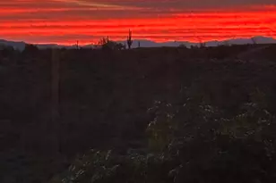 14714 N El Camino Dorado, Fort McDowell, AZ 85264 - Photo 149