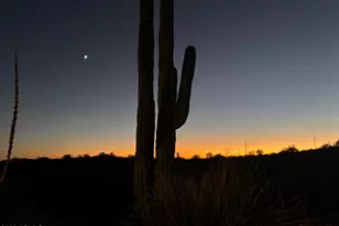 14714 N El Camino Dorado, Fort McDowell, AZ 85264 - Photo 145