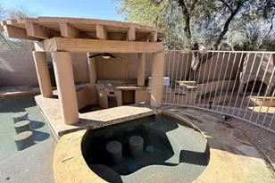 21948 N 79th Pl, Scottsdale, AZ 85255 - Photo 39