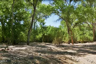 28909 N 161st Pl, Scottsdale, AZ 85262 - Photo 87