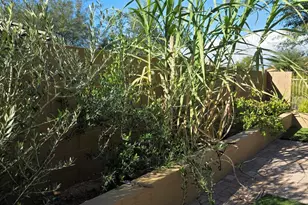 2012 W Chimney Rock Rd, Phoenix, AZ 85085 - Photo 43