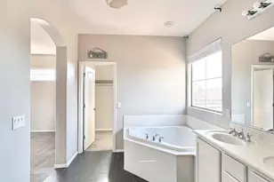 16511 W Tether Trail, Surprise, AZ 85387 - Photo 53