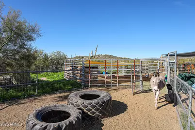 48624 N 3rd Avenue, New River, AZ 85087 - Photo 19