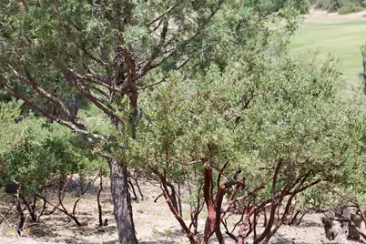 910 S Monument Valley Drive #149, Payson, AZ 85541 - Photo 5