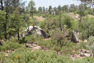 910 S Monument Valley Drive #149, Payson, AZ 85541 - Photo 3