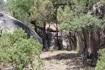 910 S Monument Valley Drive #149, Payson, AZ 85541 - Photo 27