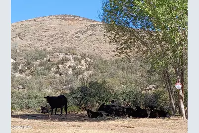 10450 E Vaca Bonita              Dewey -- #-, Humboldt, AZ 86329 - Photo 35