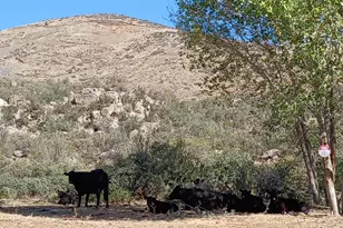 10450 E Vaca Bonita Dewey --, Humboldt, AZ 86329 - Photo 1