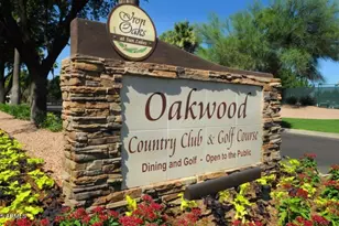 10714 E Nacoma Dr, Sun Lakes, AZ 85248 - Photo 37