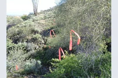 14415 E Prairie Dog Trail #5, Fountain Hills, AZ 85268 - Photo 7