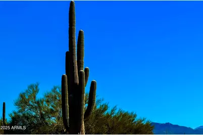 0 S Cactus Garden Way Lot 4 2.5 Ac -- #-, Marana, AZ 85658 - Photo 15