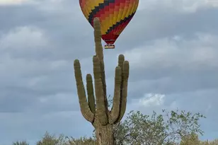 15433 W Pinnacle Vis Rd, Surprise, AZ 85387 - Photo 11