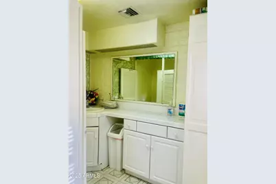 2902 N Geronimo Avenue, Tucson, AZ 85705 - Photo 13