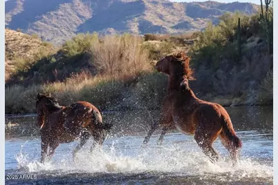 6973 E Hacienda La Noria Lane, Gold Canyon, AZ 85118 - Photo 69