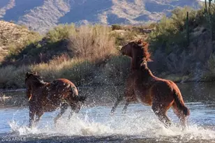 6973 E Hacienda La Noria Ln, Gold Canyon, AZ 85118 - Photo 69