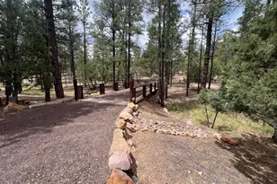 800 S 24th Dr, Show Low, AZ 85901 - Photo 5