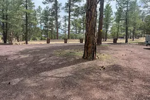 800 S 24th Dr, Show Low, AZ 85901 - Photo 41