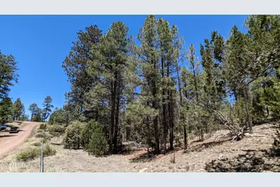 2968 Constellation Lane #-, Overgaard, AZ 85933 - Photo 7